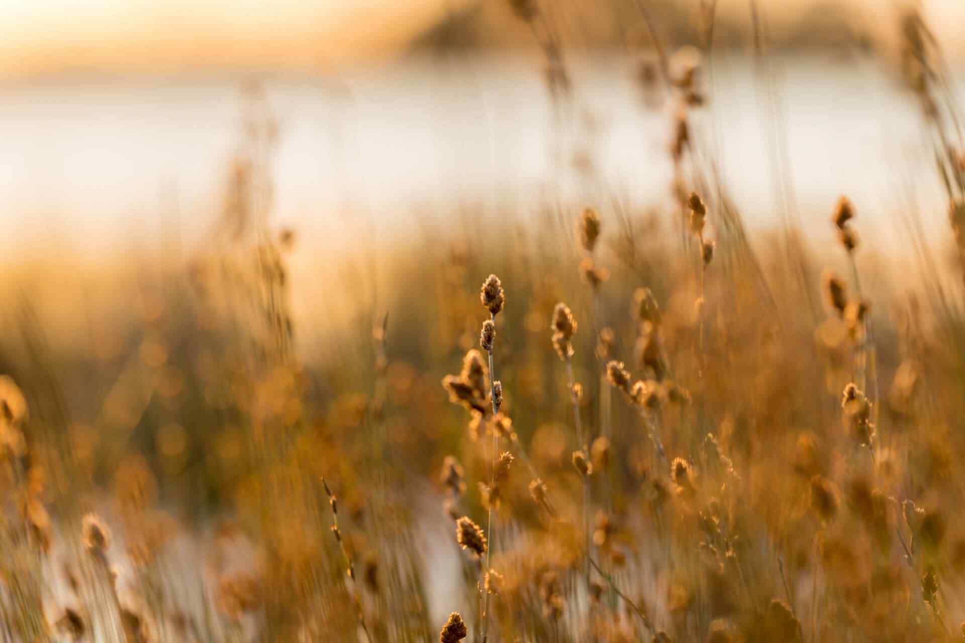 portfolio_02 portfolio_02