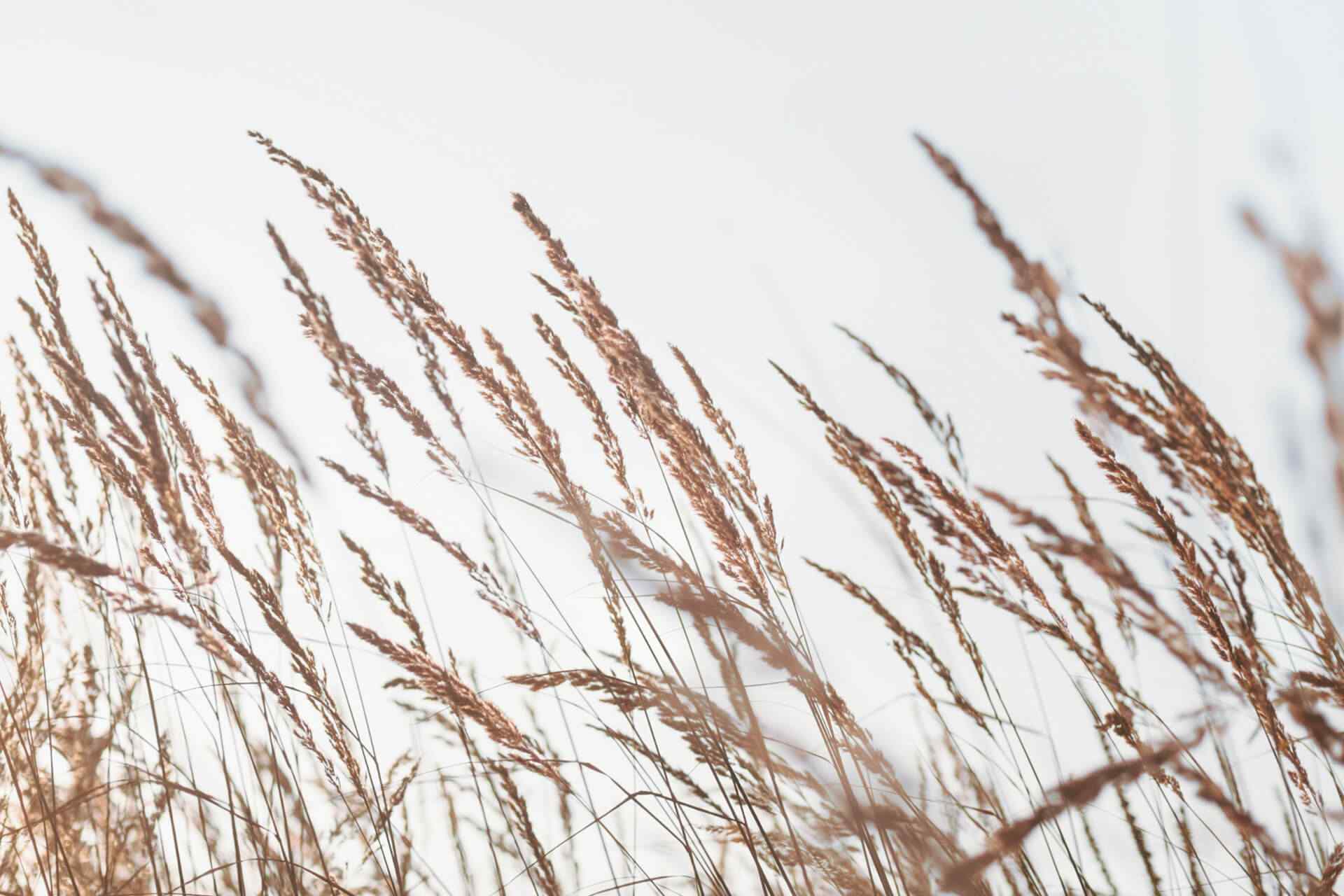 portfolio_03 portfolio_03